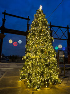 Christmas Light Installation in Gilbert AZ